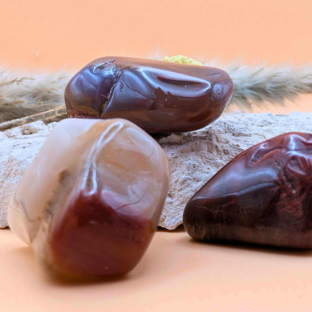 Versteinertes Holz Trommelstein