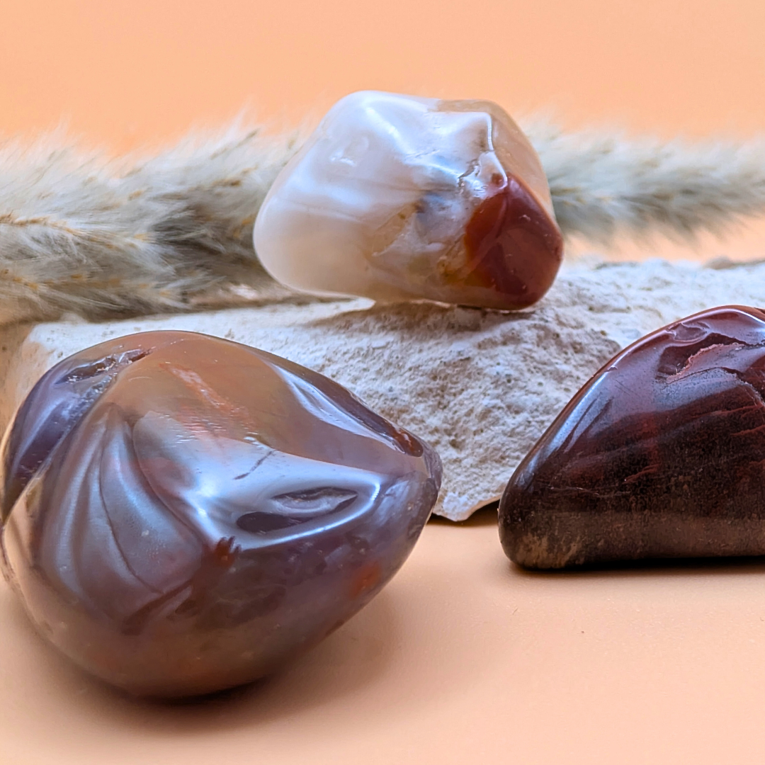 Versteinertes Holz Trommelstein