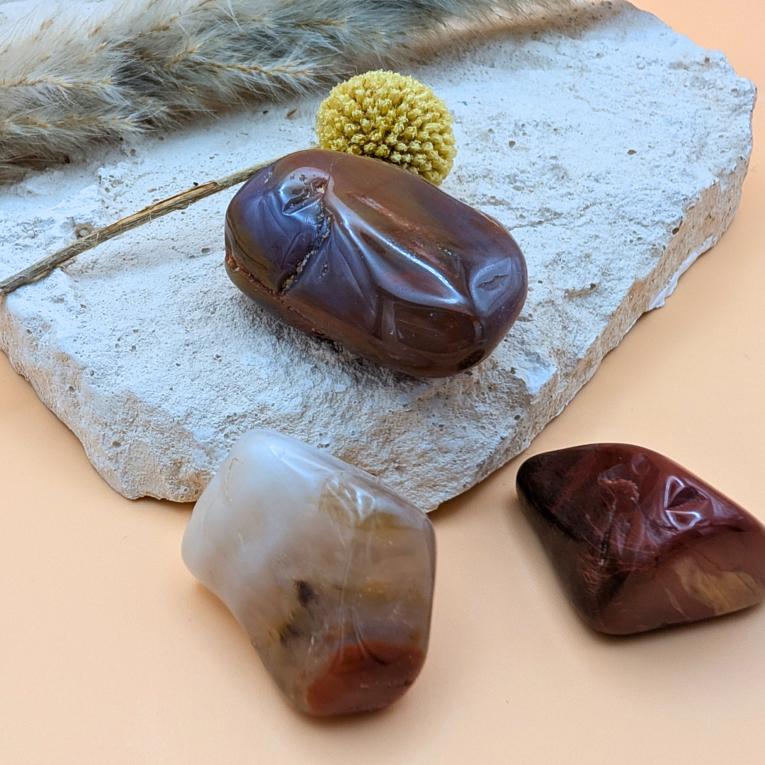 Versteinertes Holz Trommelstein