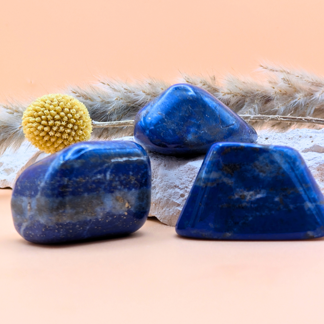 Lapislazuli Trommelstein A Qualität