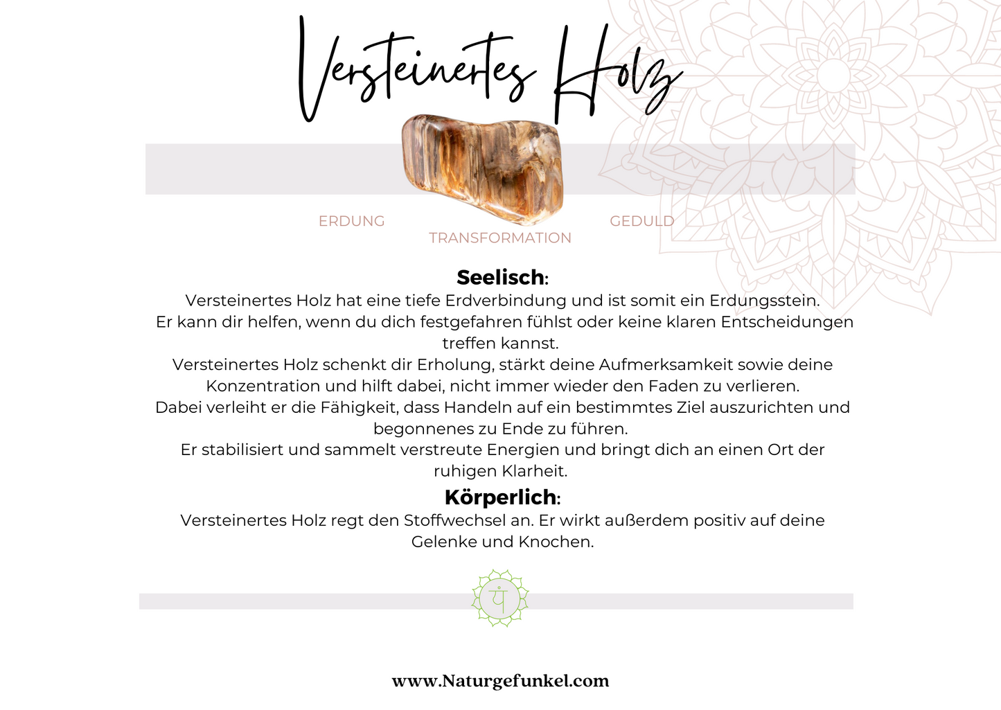 Versteinertes Holz Trommelstein