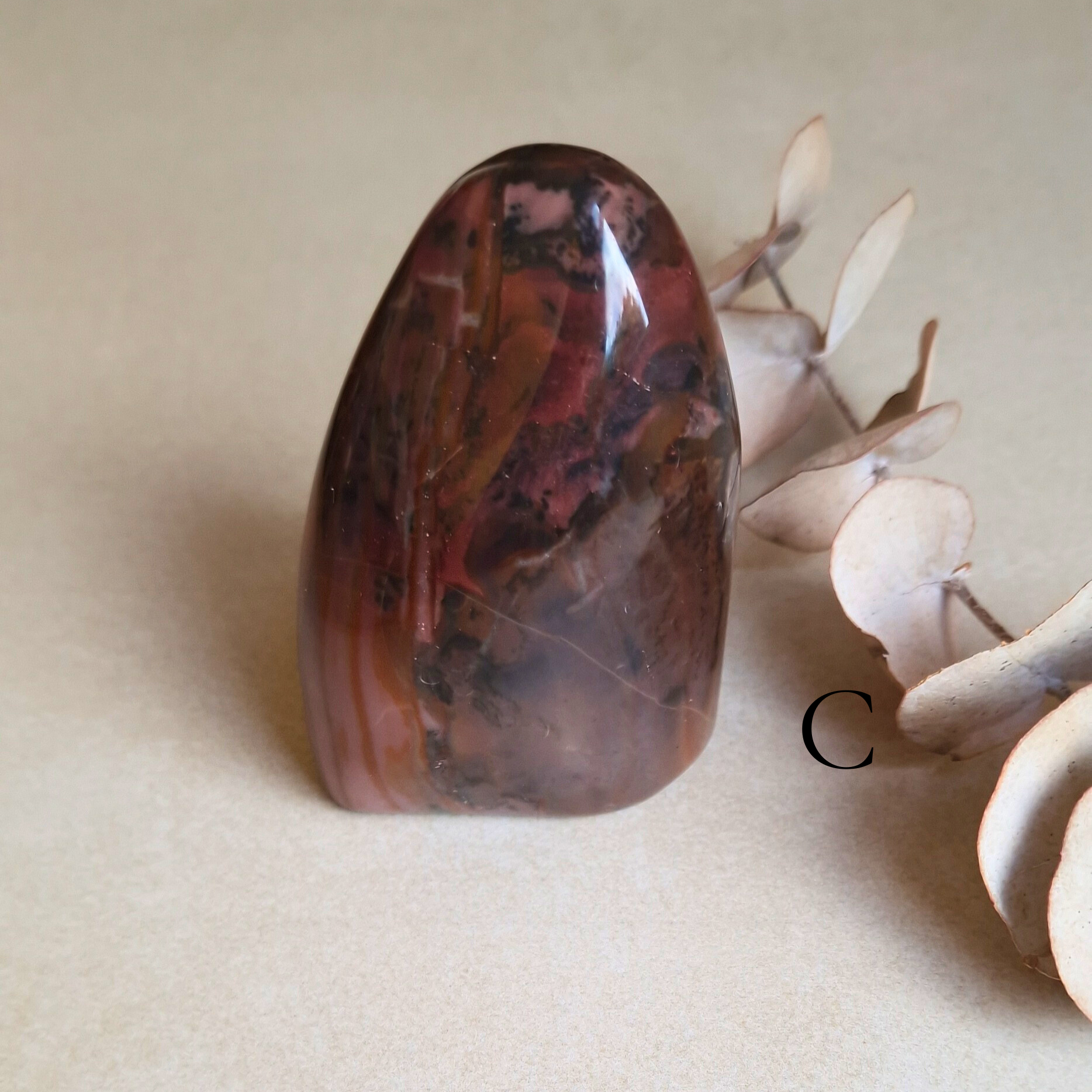 Versteinertes Holz-polierte Freiform