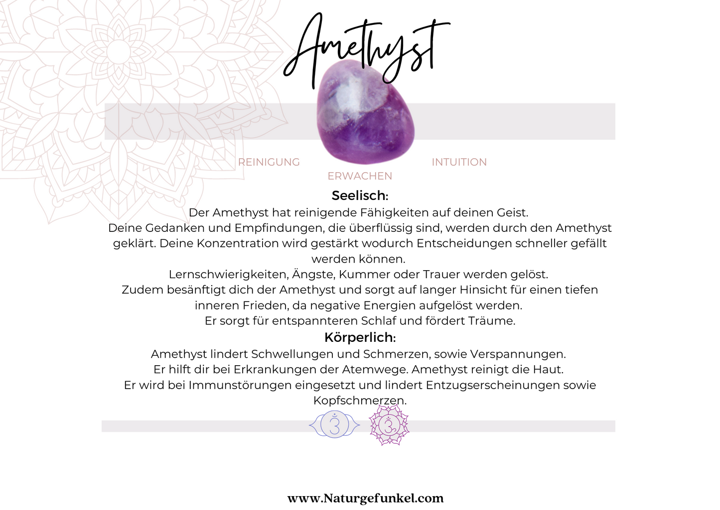 Amethyst Armband