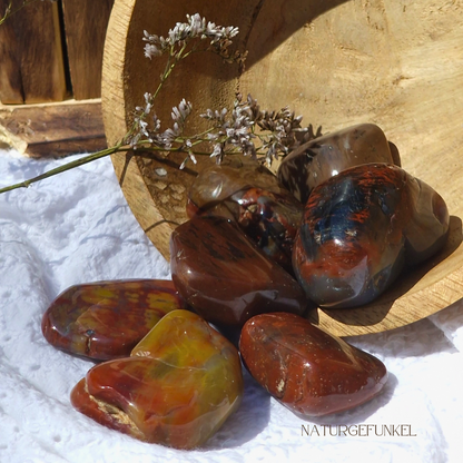 VERSTEINERTES HOLZ Trommelstein