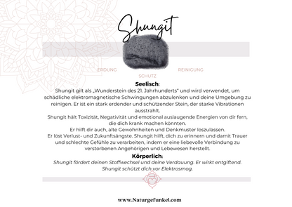 Shungit Armband